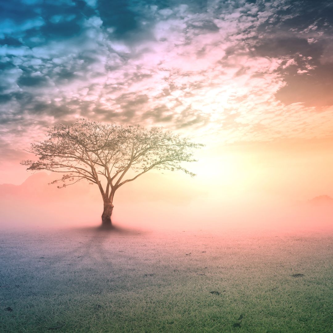 Reiki for Restoration